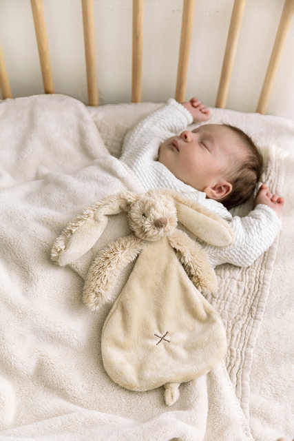 Rabbit Richie tuttle beige