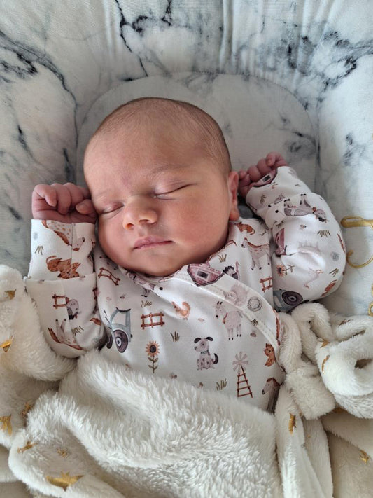 Boxpakje boerderij diertjes