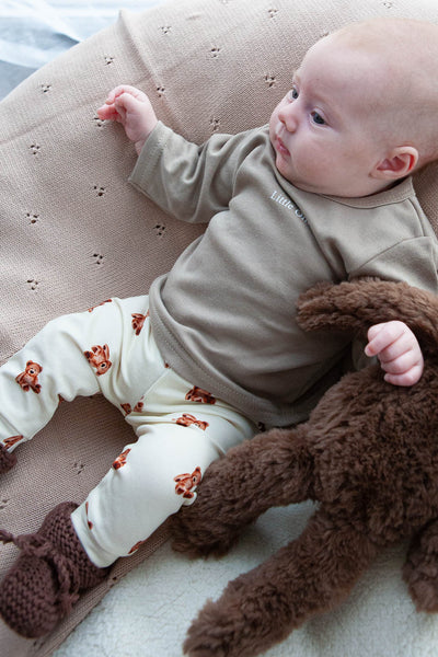 Aanbieding set teddy beertjes