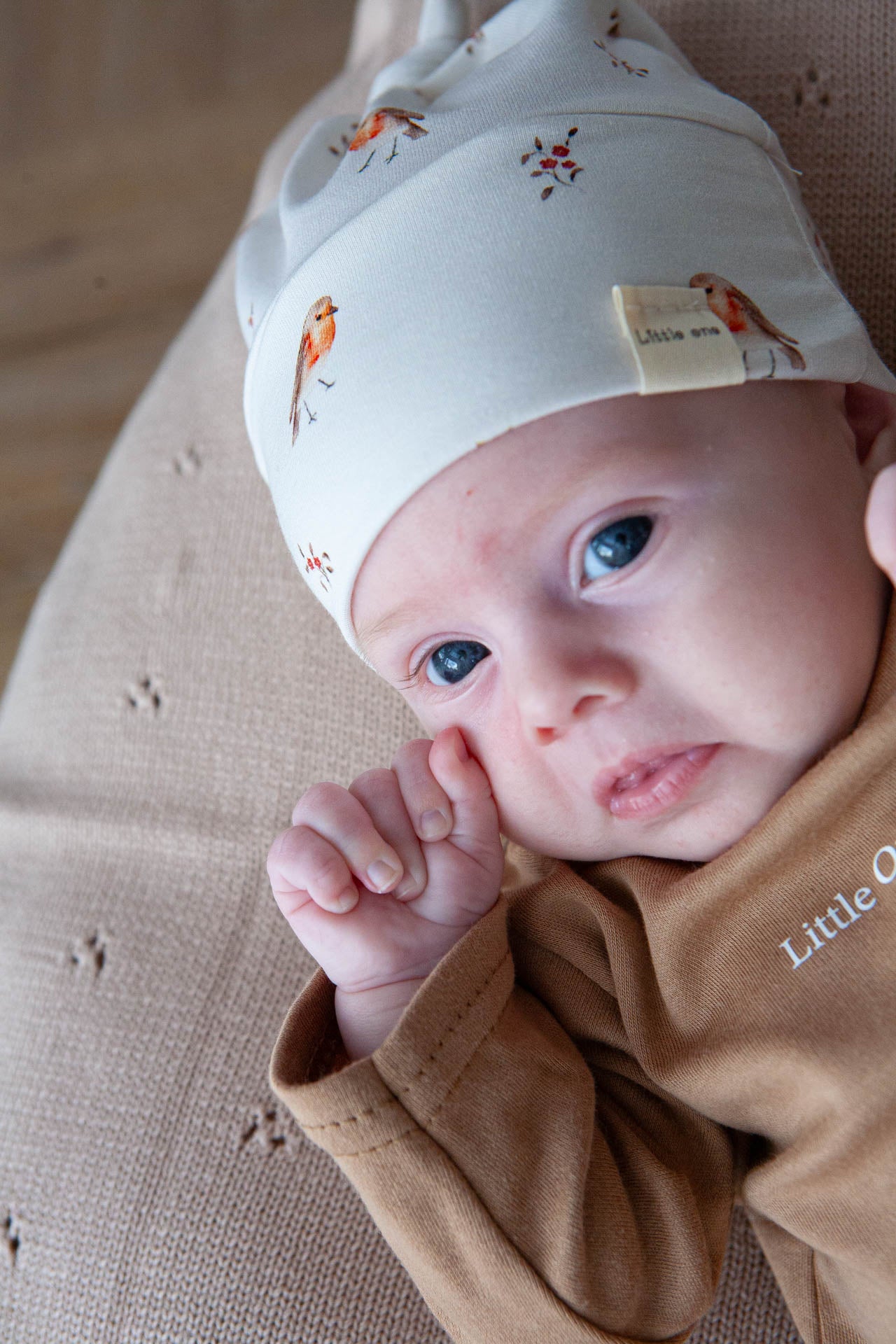 Aanbieding set roodborstjes