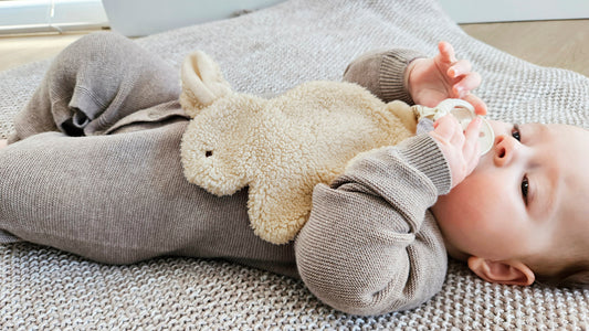 Rabbit pacifier cloth