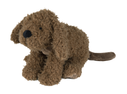 Labradoodle Larry Nr. 1