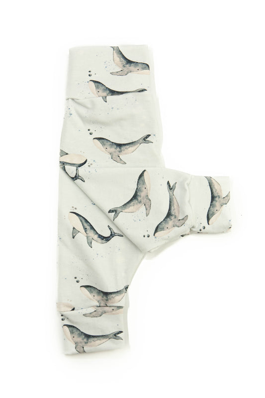 Broekje Whales