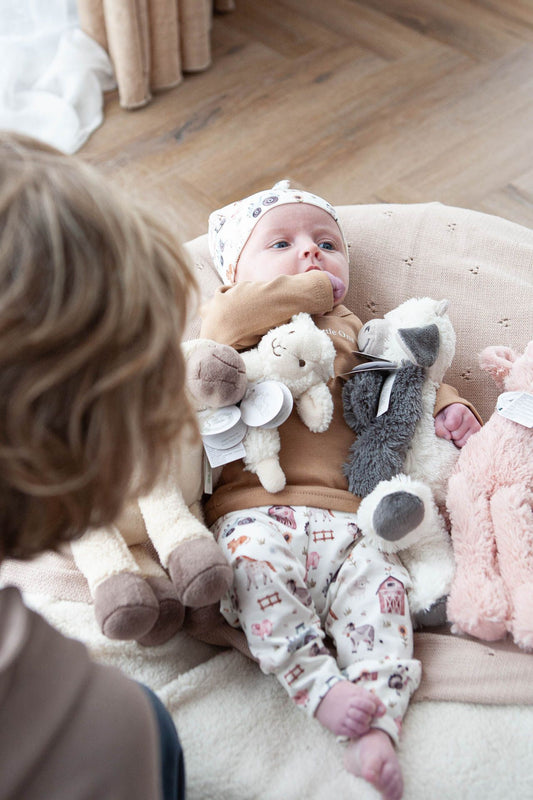 Aanbieding set boerderij diertjes