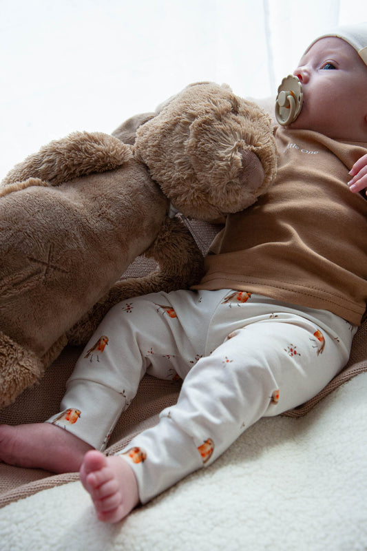 Aanbieding set roodborstjes