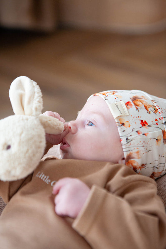 Aanbieding set eekhoorntjes